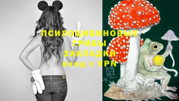 тгк Нязепетровск