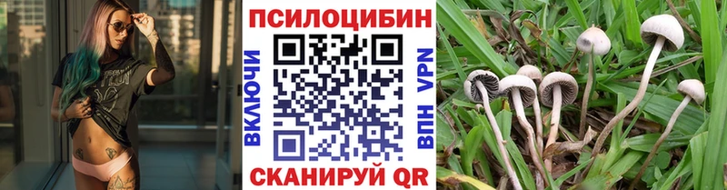 Псилоцибиновые грибы Magic Shrooms сколько стоит KRAKEN ТОР Бакал